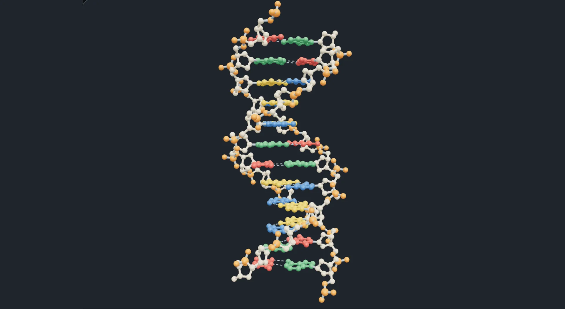 DNA、RNA 与 mRNA
